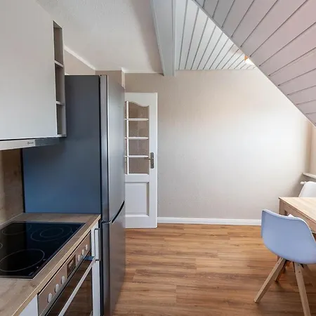 Waldfrieden 4 Mit Dachterrasse Und Grill Apartment Braunlage