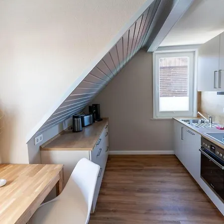 Waldfrieden 4 Mit Dachterrasse Und Grill Apartment Braunlage