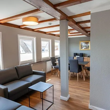 Waldfrieden 4 Mit Dachterrasse Und Grill Braunlage