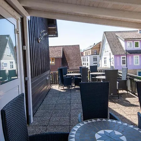 Waldfrieden 4 Mit Dachterrasse Und Grill * Braunlage