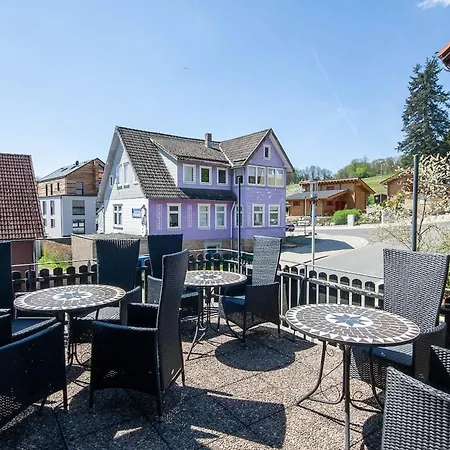 Daire Waldfrieden 4 Mit Dachterrasse Und Grill