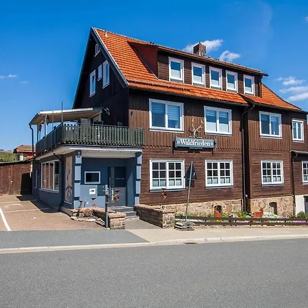 Apartment Waldfrieden 4 Mit Dachterrasse Und Grill Braunlage