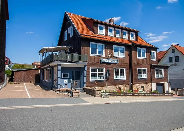 Apartment Waldfrieden 4 Mit Dachterrasse Und Grill Braunlage